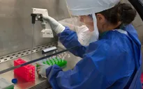 Bỉ phát triển kháng thể có khả năng vô hiệu hóa virus SARS-CoV-2