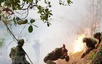 Nguy cơ cháy rừng cao tại ĐBSCL trong cao điểm mùa khô