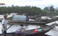 Hiệu quả kinh tế từ rừng ngập mặn