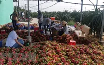 Đề nghị Trung Quốc mở cửa cho nhiều loại nông sản Việt