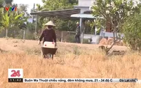 Khan hiếm nước ngọt trầm trọng ở nhiều địa phương thuộc tỉnh Long An