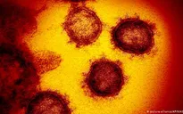 Nga giải mã thành công đầy đủ bộ gene của virus SARS-CoV-2