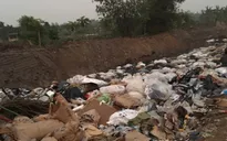 Hải Dương: Điều tra vụ đổ trộm chất thải nguy hại
