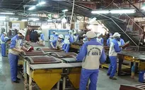 Ngành gỗ cần đa dạng hóa nguồn nguyên phụ liệu