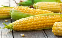 Mỹ đề nghị Việt Nam giảm thuế nhập khẩu một số mặt hàng nông sản