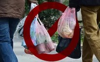 New York cấm sử dụng túi nhựa dùng 1 lần