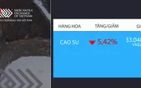Giá cao su giảm mạnh