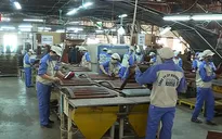 Đầu ra ngành gỗ xuất khẩu ngưng trệ do ảnh hưởng của dịch COVID-19