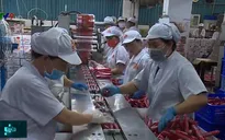 TP.HCM đảm bảo nguồn lương thực, thực phẩm cung ứng cho người tiêu dùng