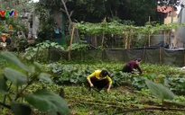 Chậm khởi tố vụ án, khởi tố bị can với đối tượng buôn người