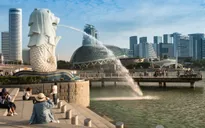 Singapore ra mắt ứng dụng giúp hạn chế sự lây lan của COVID-19