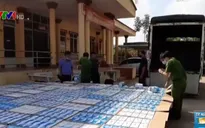 Bắt giữ vụ vận chuyển gần 300.000 khẩu trang y tế tại Tây Ninh