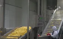 Doanh nghiệp xuất khẩu nông sản chủ động thay đổi để thích ứng