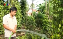 Tín dụng chính sách xã hội giúp thanh niên lập nghiệp
