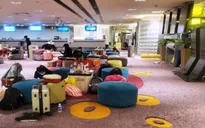 Về hay ở - Lựa chọn cần cân nhắc với người Việt ở nước ngoài