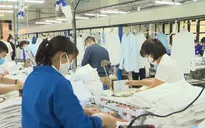 Hạn chế cắt giảm lao động trong giai đoạn dịch bệnh