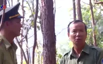 Chủ động phòng chống cháy rừng trong mùa khô