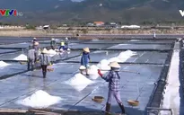 Khó khả thi việc tạm trữ muối