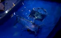 Chiến sĩ 2020: Vui hết cỡ với các chiến sĩ Trung đoàn Tên lửa 285