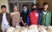 Hà Nội: Xử lý quán bar hoạt động xuyên đêm bất chấp lệnh cấm