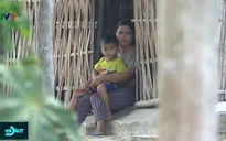 Thiệt hại do nắng hạn, người dân miền núi Khánh Hòa nhàn rỗi trong nỗi lo thiếu đói