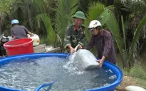 Mang nước ngọt về vùng hạn mặn Bến Tre