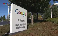 Google cam kết chi 800 triệu USD hỗ trợ chống dịch