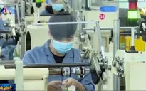 Doanh nghiệp dệt may, da giày đi tìm nguồn cung nguyên liệu thay thế