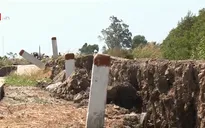 Chốt phương án khắc phục sụt lún đê biển Tây