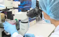 Bộ Y tế sẽ nhập 200.000 test xét nghiệm nhanh COVID-19