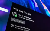 Windows 10 lại gặp lỗi khiến máy tính không kết nối được Internet