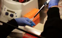 Nga sắp thử nghiệm vaccine phòng bệnh COVID-19 trên người