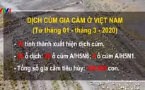 10 tỉnh, thành đã xuất hiện dịch cúm gia cầm