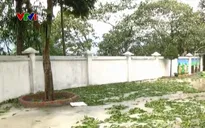 Giông lốc, mưa lớn làm 3 người thiệt mạng
