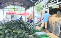 Giải cứu nông sản: Đừng lợi dụng lòng thương!