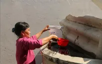 Long An công bố tình huống khẩn cấp do xâm nhập mặn