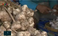 TP.HCM: Nông sản nhập về chợ đầu mối dồi dào trở lại sau dịch COVID-19