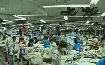EVFTA - Cú hích để doanh nghiệp may mặc đa dạng hóa nguồn cung