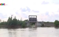 Sắp có đợt xâm nhập mặn khốc liệt ở ĐBSCL