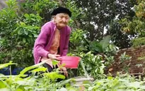 Cụ bà 107 tuổi yêu lao động