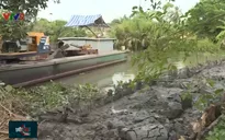 Liên kết vùng trong phòng chống hạn mặn