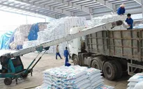 Gia hạn áp dụng biện pháp tự vệ đối với phân bón DAP, MAP nhập khẩu