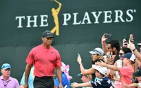 Tiger Woods không dự The Players Championship 2020