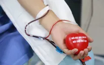 Cần Thơ: Vận động hiến máu tình nguyện, đảm bảo nhu cầu cứu chữa người bệnh dịp Tết