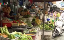 Hà Nội dồi dào thực phẩm tươi sống