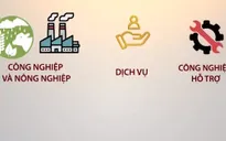 Triển khai việc giãn, hoãn thuế ngay khi Nghị định 41 có hiệu lực