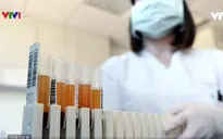 Mỹ thử nghiệm điều trị COVID-19 bằng huyết tương từ người đã khỏi bệnh