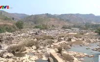 Thủ tướng Chính phủ chỉ đạo kiểm tra phản ánh liên quan đến dự án thủy điện Thượng Kon Tum
