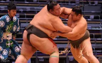 Các giải đấu Sumo tại Nhật Bản có thể bị hủy do dịch COVID-19