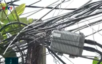 Câu trộm điện: Hành vi vi phạm pháp luật gây nguy hiểm cho người xung quanh